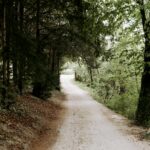 Häufige Fragen Psychotherapie Wien - Methode und Hintergrund.